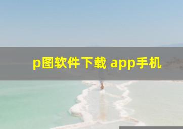 p图软件下载 app手机